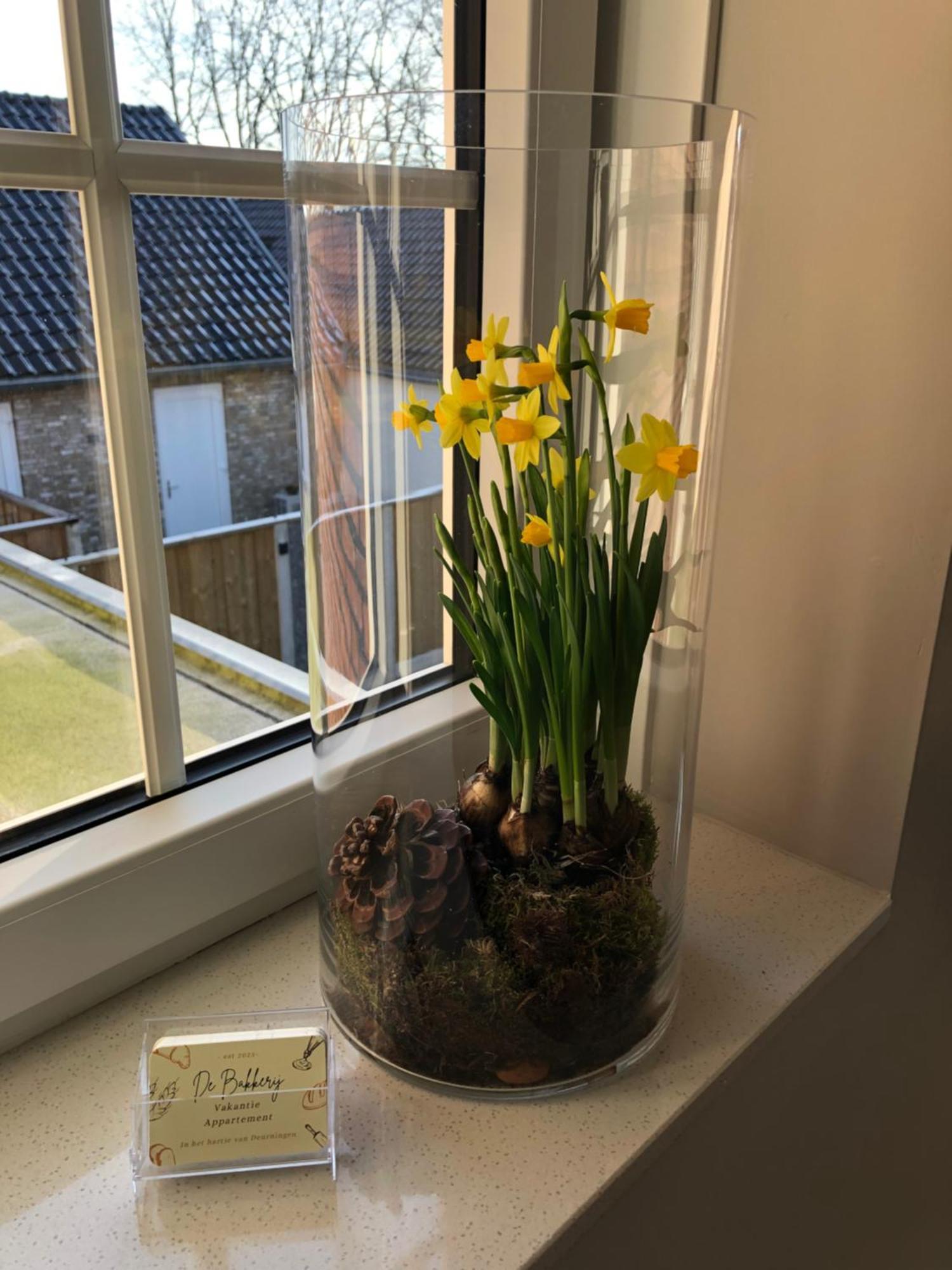 De Bakkerij Apartment Deurningen Bagian luar foto